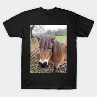 I Love Horses - A Pony in the English Countryside T-Shirt